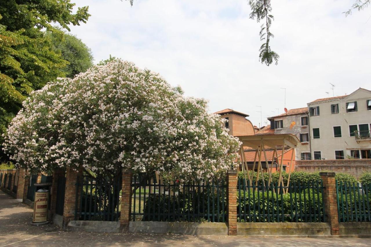 Veneziacentopercento Nicoli Apartment エクステリア 写真